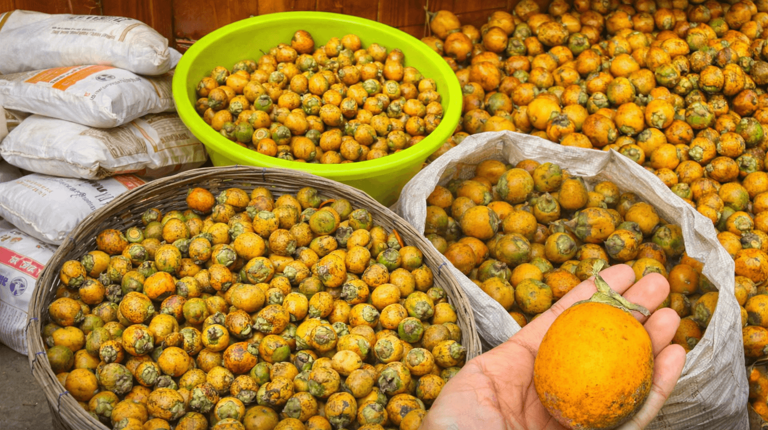 Agro Storage & Trading